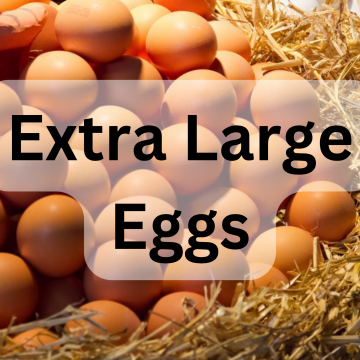Eggs Free Range